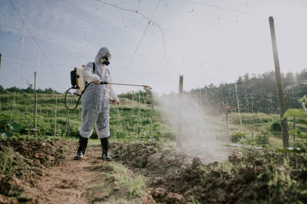 Best Commercial Pest Control Services  in , NC