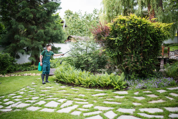 Best Residential Pest Control  in , NC