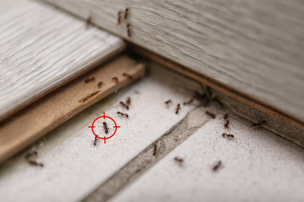 Best Commercial Pest Control Services  in , NC