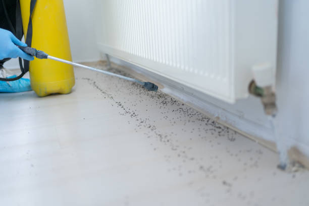 Best Best Pest Control Companies  in , NC