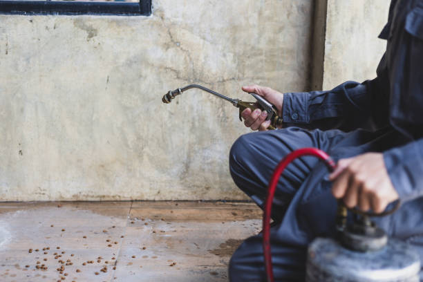 Best Termite Control Services  in , NC